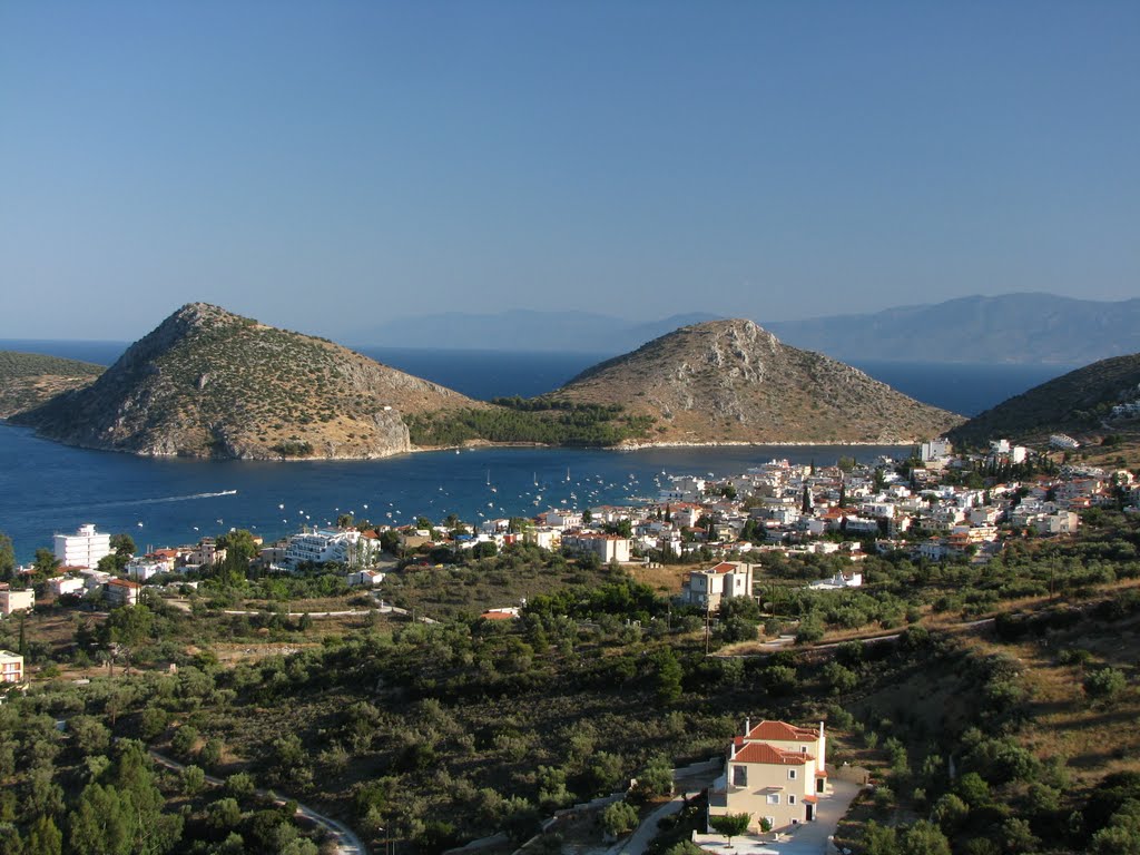 Tolo (68)