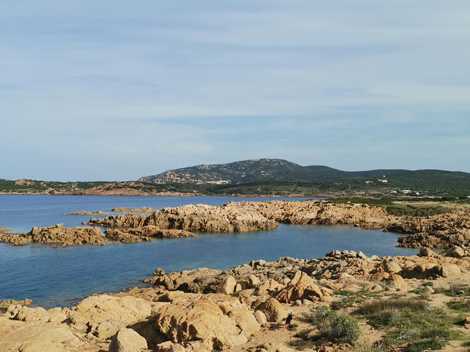 SARDINIE 1 (184)