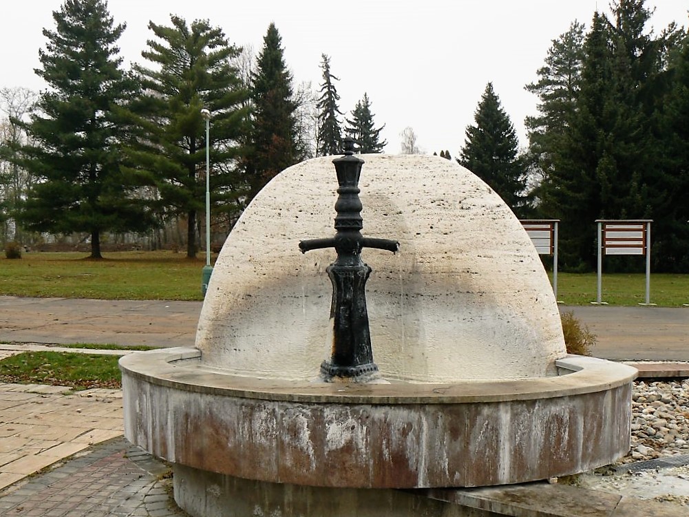 46